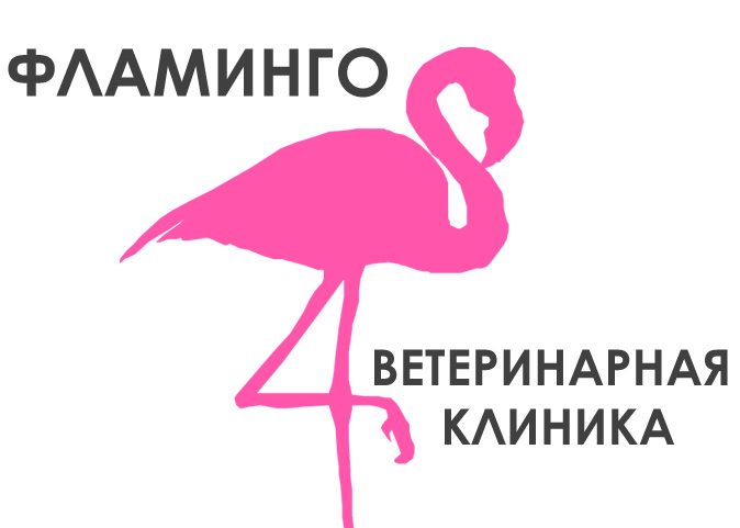 Фламинго ветеринарная клиника